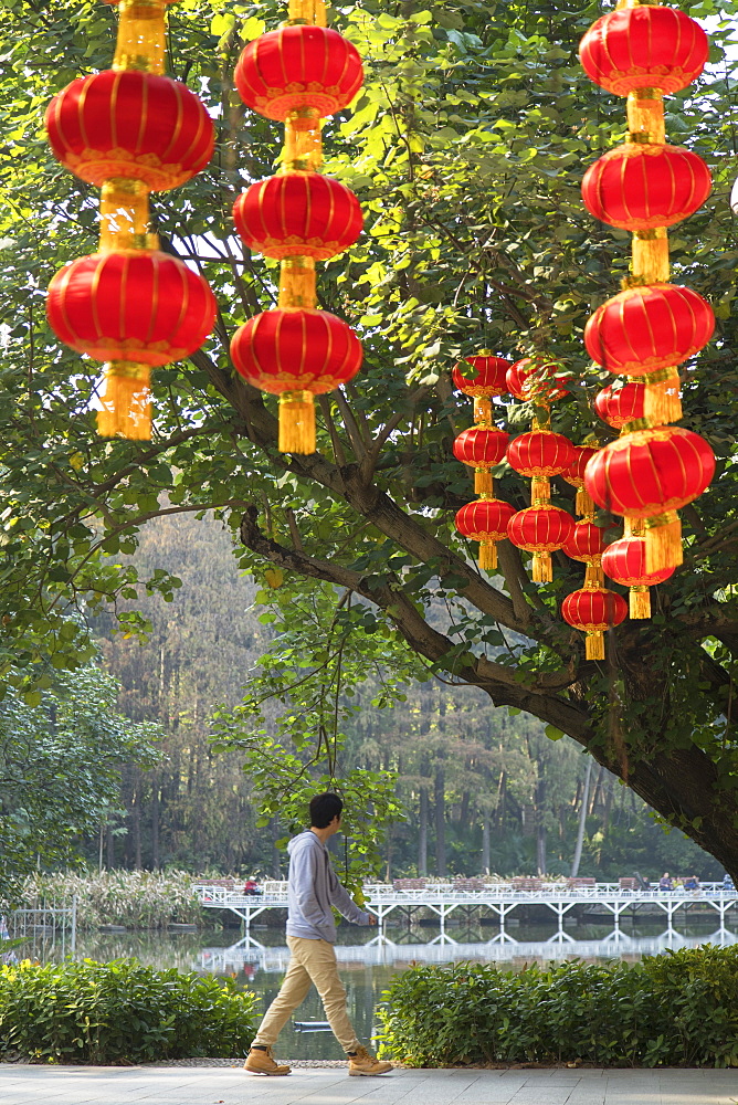 Lanterns in Lizhi Park, Shenzhen, Guangdong, China, Asia