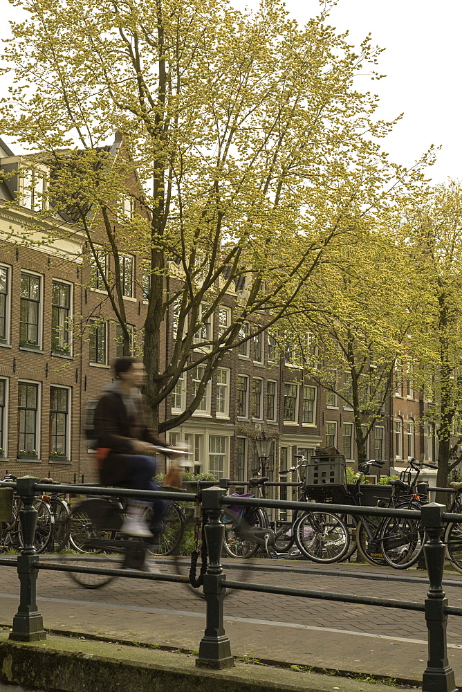 Man cycling over bridge on Lauriergracht canal, Amsterdam, Netherlands, Europe