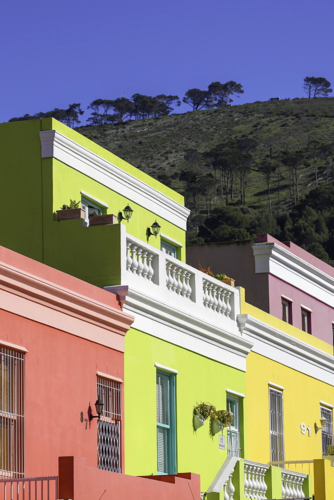 Colourful houses in Bo Kaap, Cape Town, Western Cape, South Africa, Africa