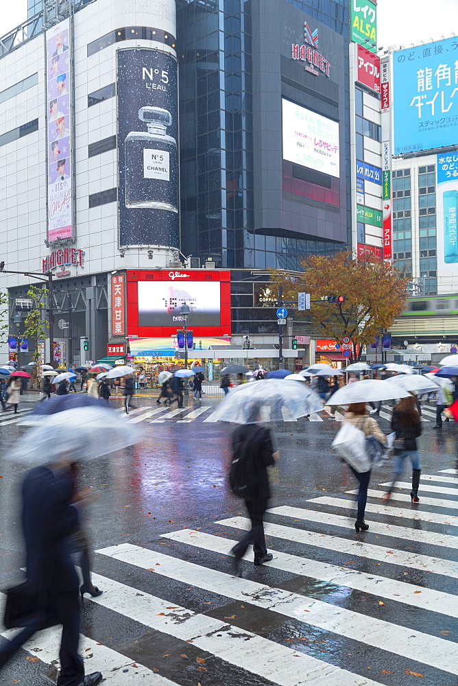 People walking across Shibuya Crossing, Shibuya, Tokyo, Honshu, Japan, Asia