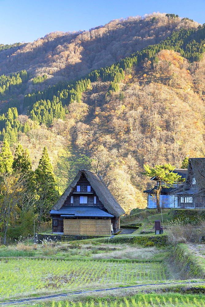 Traditional houses of Ainokura, UNESCO World Heritage Site, Gokayama, Toyama Prefecture, Honshu, Japan, Asia