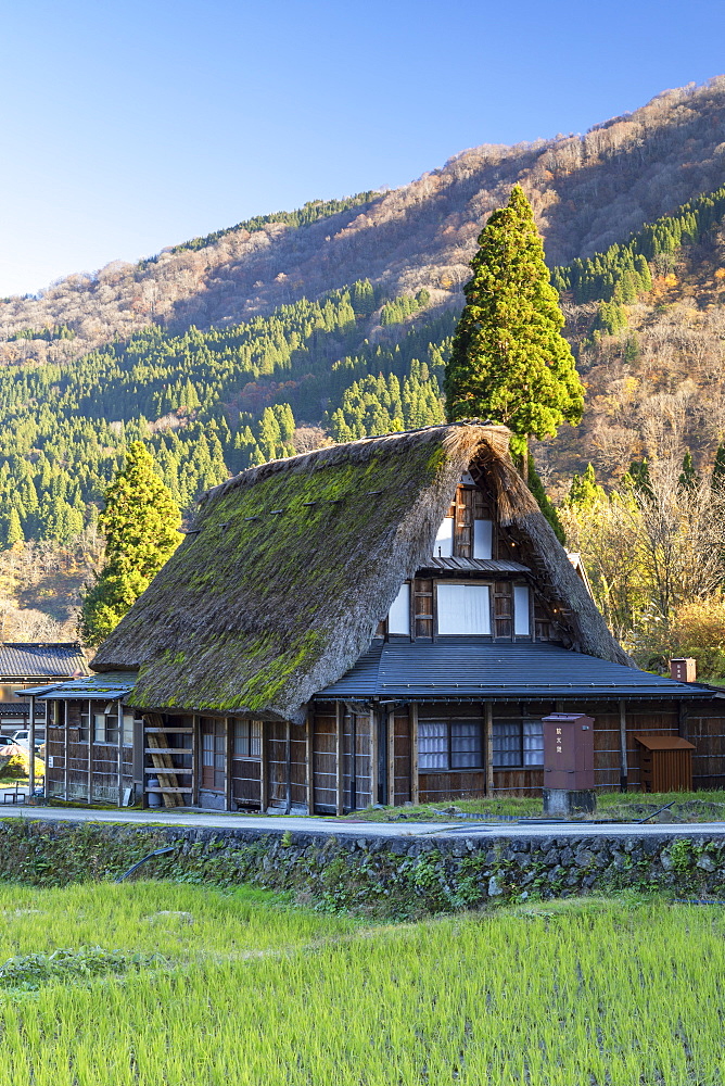 Traditional houses of Ainokura, UNESCO World Heritage Site, Gokayama, Toyama Prefecture, Honshu, Japan, Asia