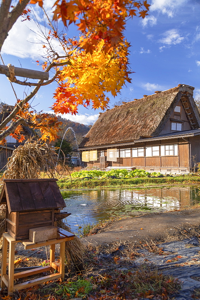 Traditional house of Ogimachi, UNESCO World Heritage Site, Shirakawa-go, Toyama Prefecture, Honshu, Japan, Asia