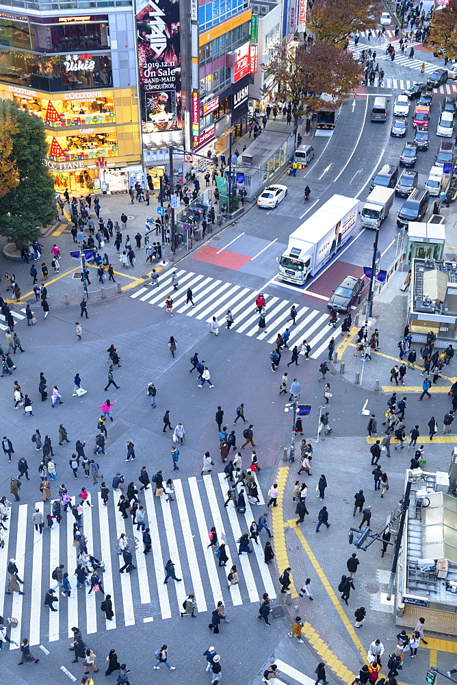 People crossing Shibuya Crossing, Shibuya, Tokyo, Honshu, Japan, Asia