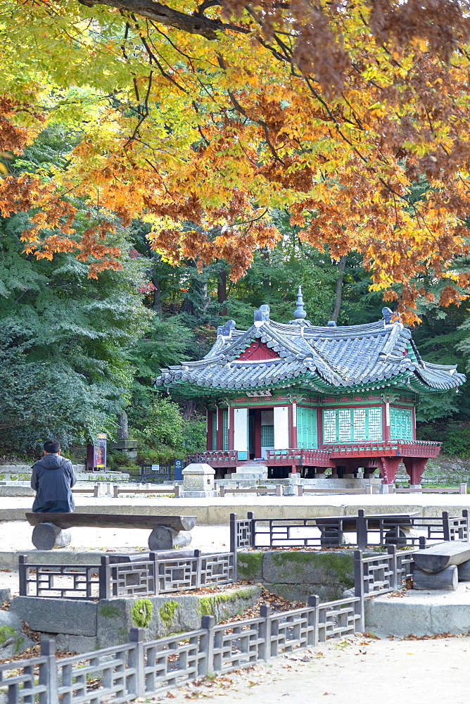 Man sitting in Secret Garden in Changdeokgung Palace, UNESCO World Heritage Site, Seoul, South Korea, Asia