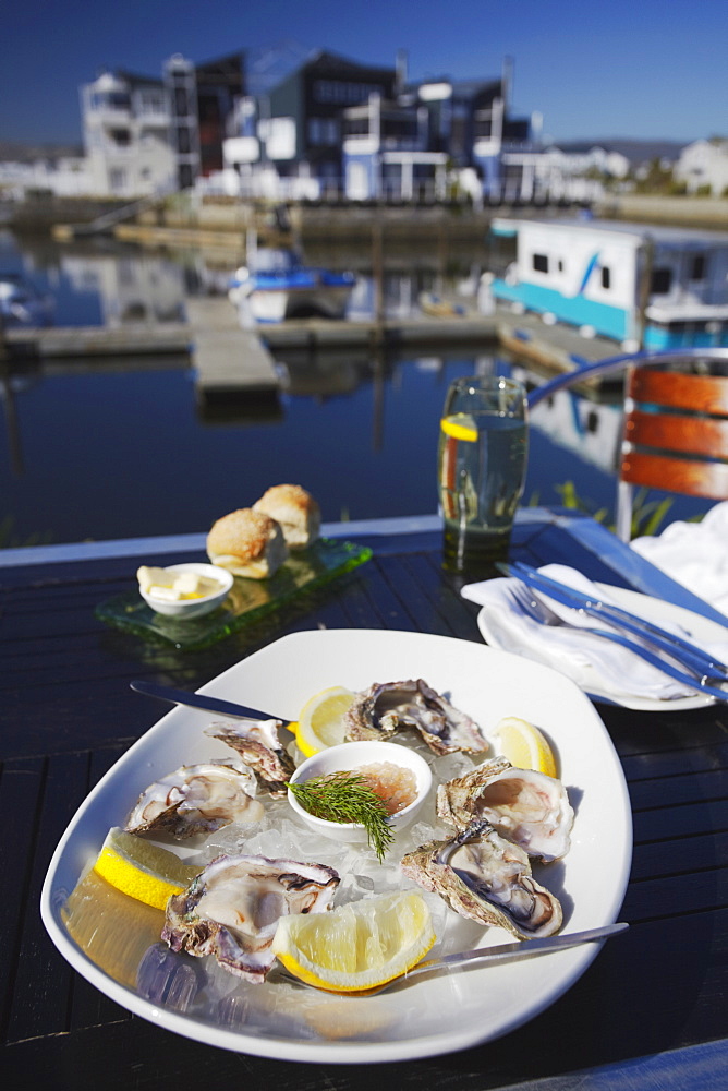 Plate of oysters at restaurant, Thesen's Island, Knysna, Western Cape, South Africa, Africa