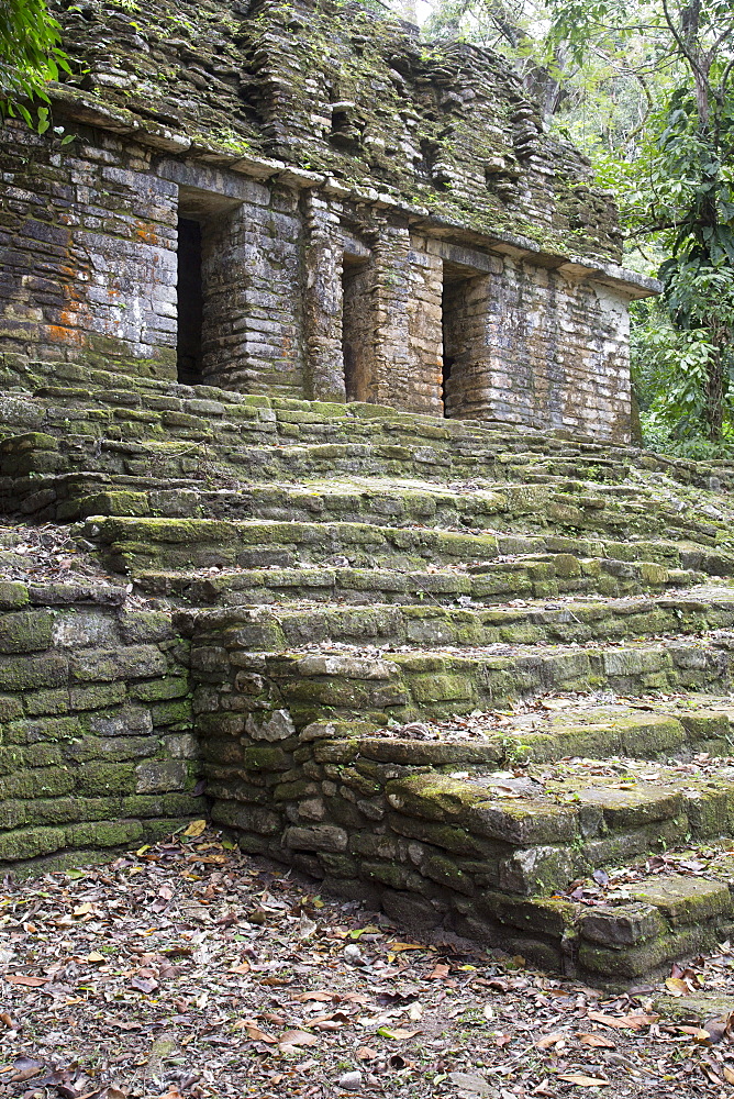 Yaxchilan Archaeological Zone, Chiapas, Mexico, North America 