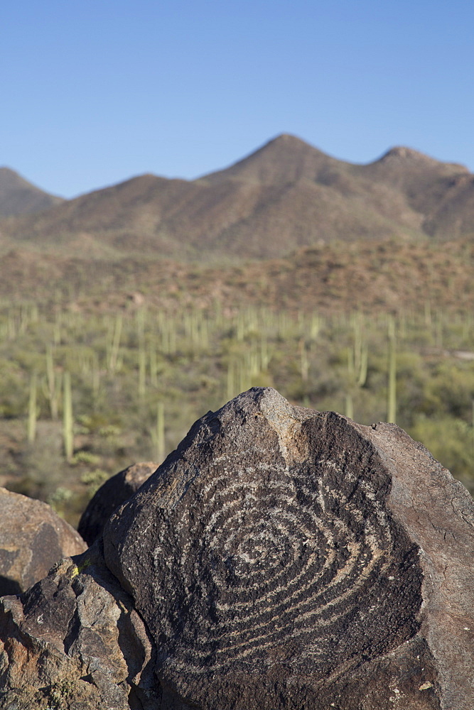 Petroglyphs, created by the prehistoric Hohokam people, about 1000 years ago, West-Tucson Mountain District, Saguaro National Park, Arizona, United States of America, North America