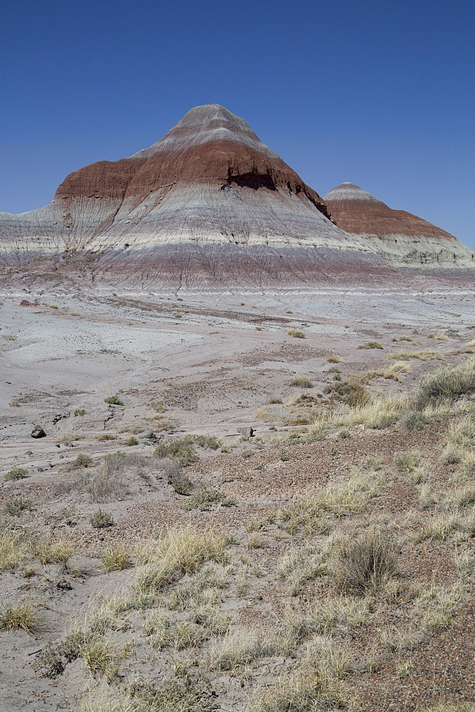 Sedimentary layers of bluish bentonite clay, The Tepees, Petrified Forest National Park, Arizona, United States of America, North America