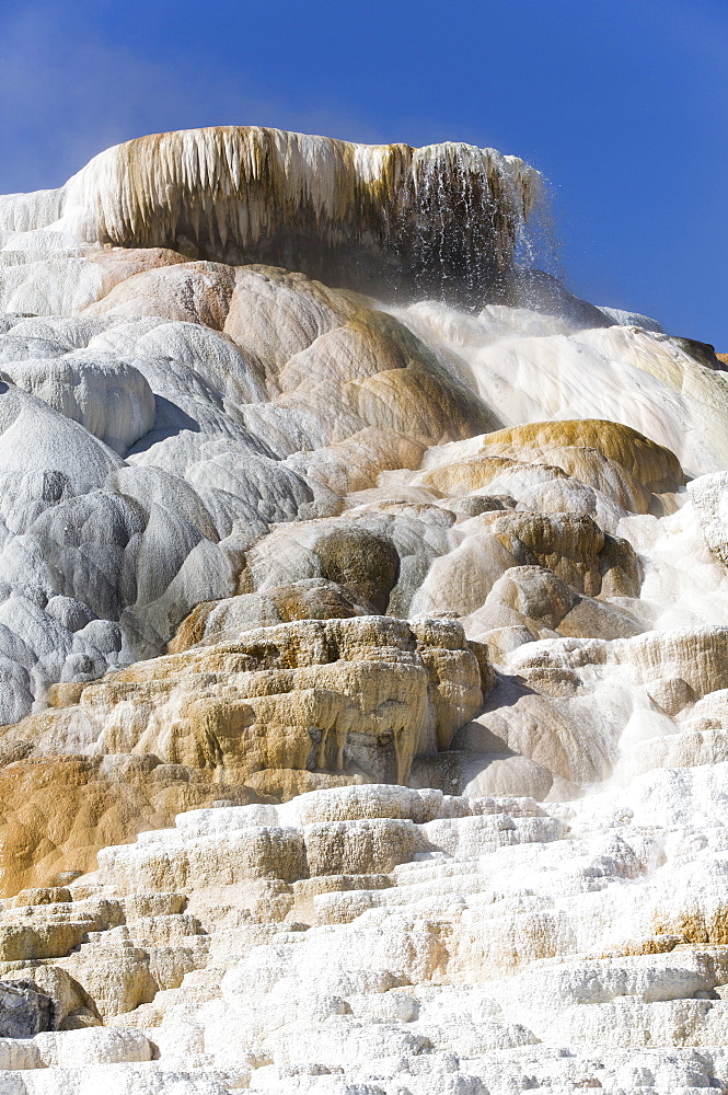 Devil's Thumb, Mammoth Hot Springs, Yellowstone National Park, UNESCO World Heritage Site, Wyoming, United States of America, North¬† America