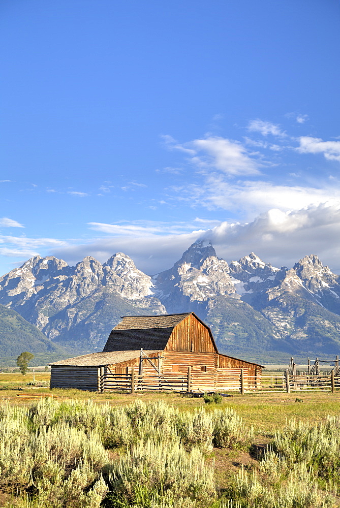 John Moulton Homestead, Barn dating from the 1890s, Mormon Row, Grand Teton National Park, Wyoming, United States of America, North America