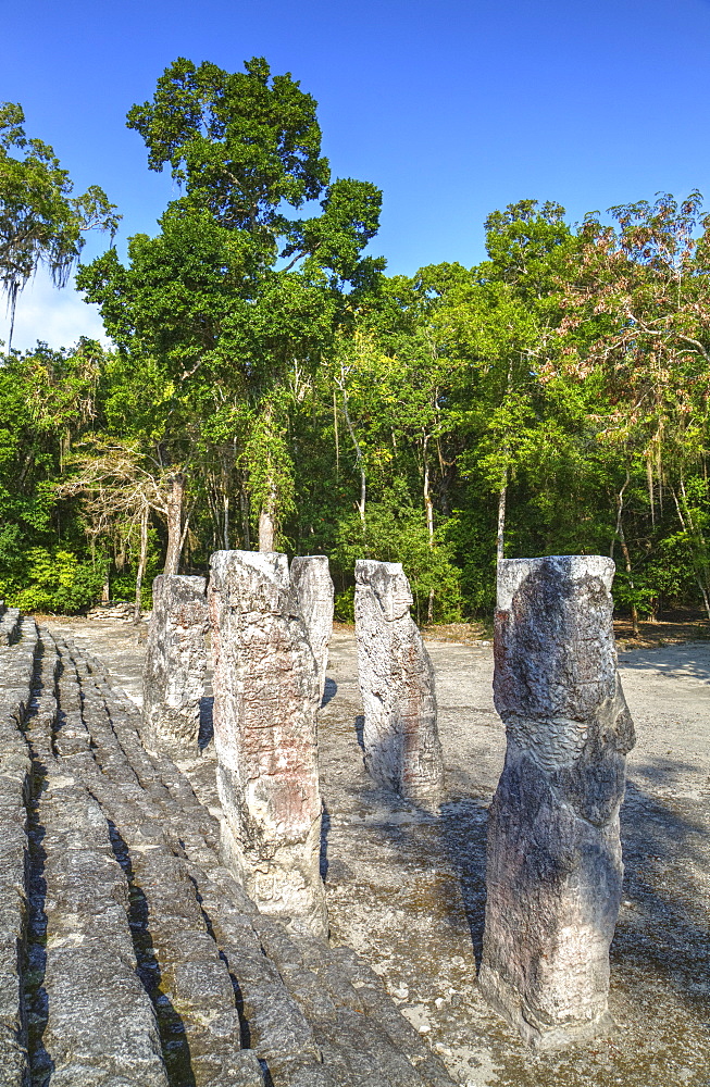 Stelae in front of Structure 2, Calakmul Mayan Archaeological Site, UNESCO World Heritage Site, Campeche, Mexico, North America