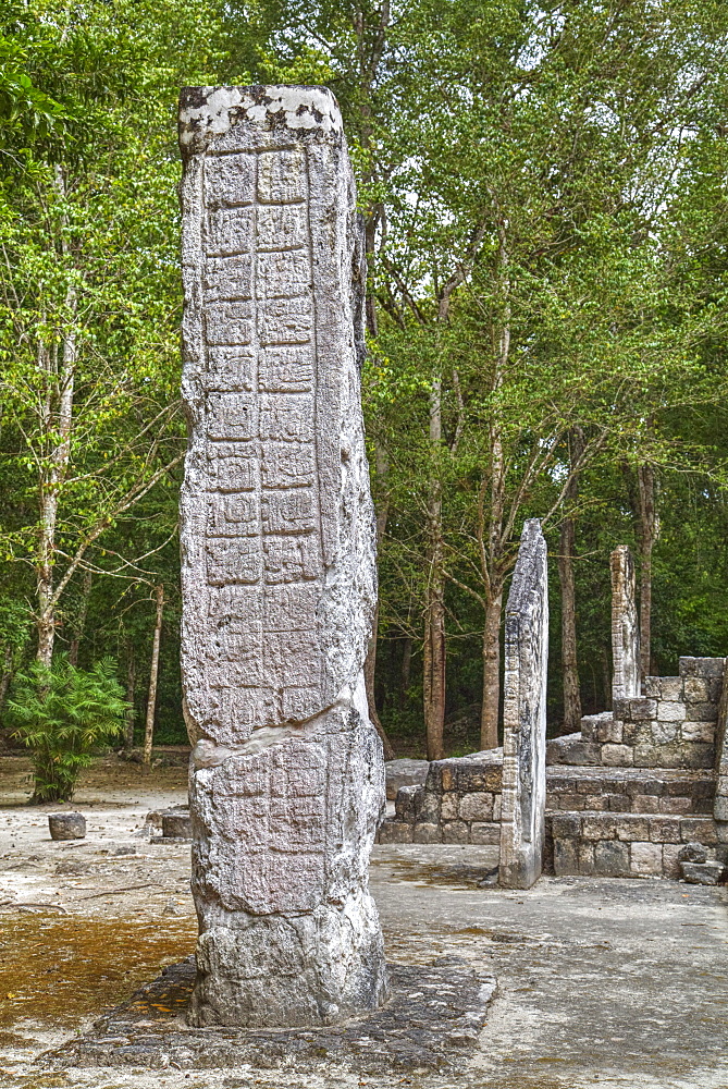 Stelae in front of Structure 1, Calakmul Mayan Archaeological Site, UNESCO World Heritage Site, Campeche, Mexico, North America