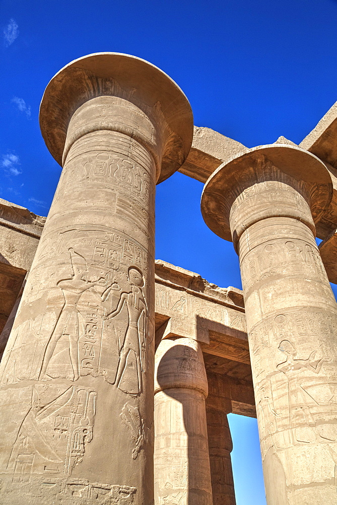 Column reliefs, Hypostyle Hall, The Ramesseum (Mortuary Temple of Ramese II), Luxor, West Bank, Thebes, UNESCO World Heritage Site, Egypt, North Africa, Africa