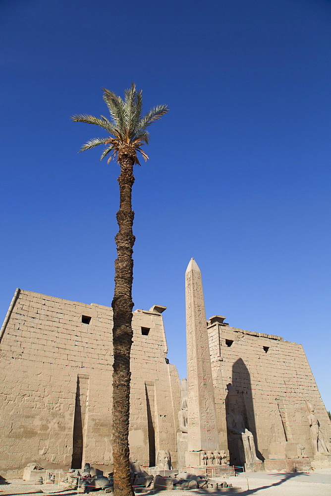 Obelisk, 25 meters high in front of plyon 65 meters wide, Luxor Temple, Luxor, Thebes, UNESCO World Heritage Site, Egypt, North Africa, Africa