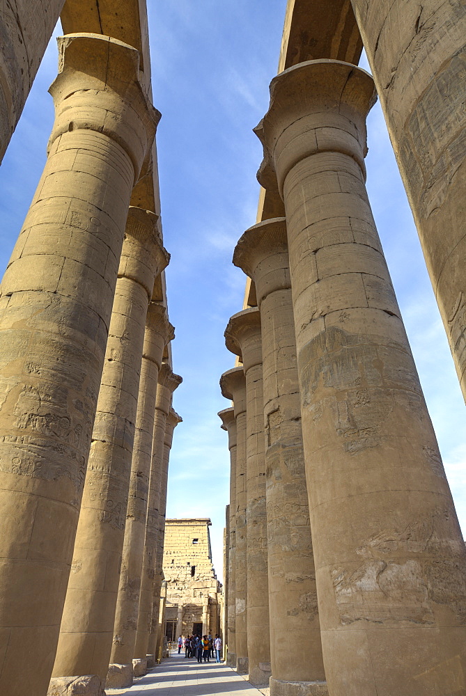 The Colonnade of Amenhotep III, Luxor Temple, Luxor, Thebes, UNESCO World Heritage Site, Egypt, North Africa, Africa