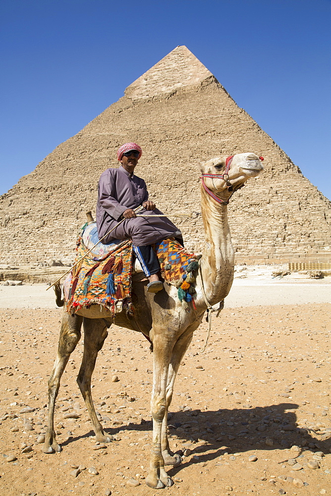 Local man on camel in front of the Pyramid of Chephren, The Giza Pyramids, UNESCO World Heritage Site, Giza, near Cairo, Egypt, North Africa, Africa