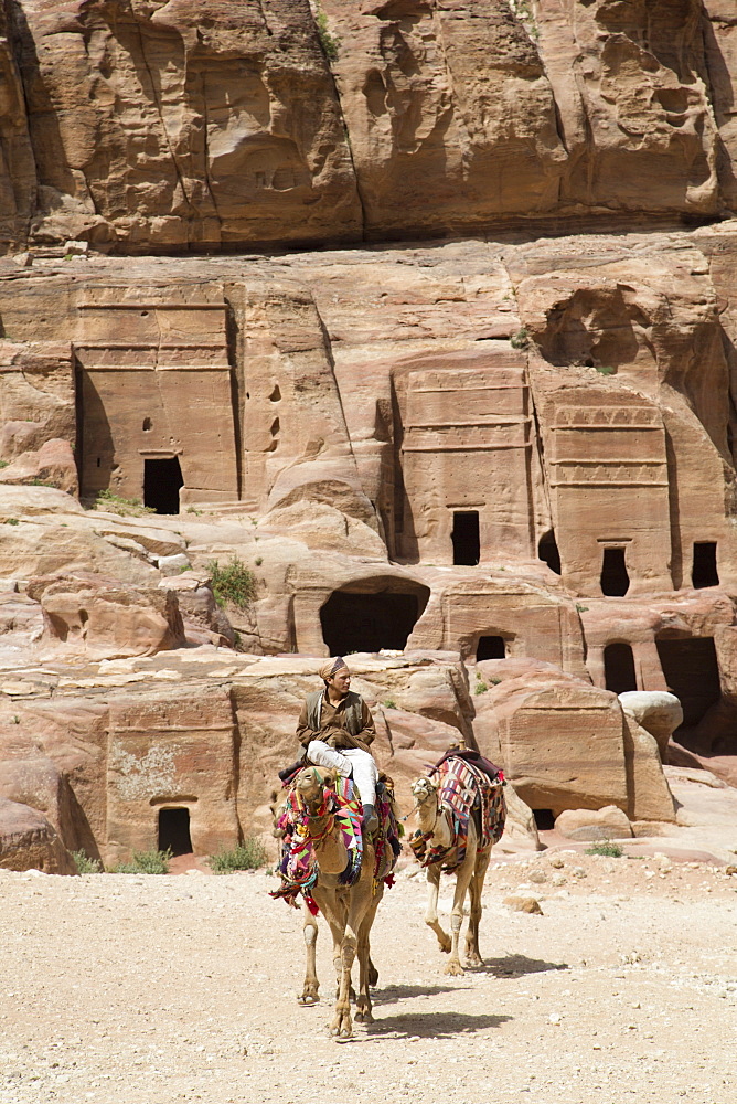 Local man with camels, tombs in the Wadi Musa area in the background, Petra, UNESCO World Heritage Site, Jordan, Middle East