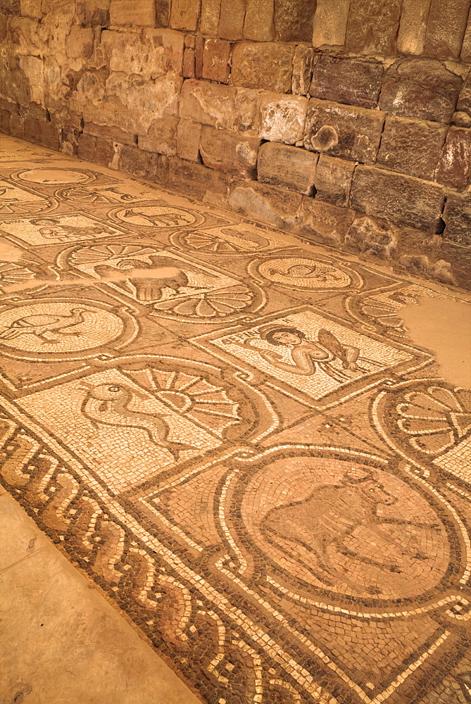 Floor mosaics, Petra Church (Byzantine Church), built between the 5th and 7th centuries AD, Petra, UNESCO World Heritage Site, Jordan, Middle East