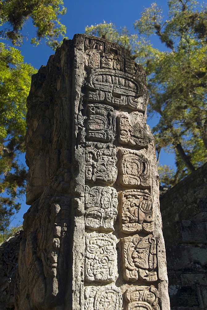 Mayan glyphs on the side of Stela P, West Court, Copan Archaeological Park, Copan, UNESCO World Heritage Site, Honduras, Central America