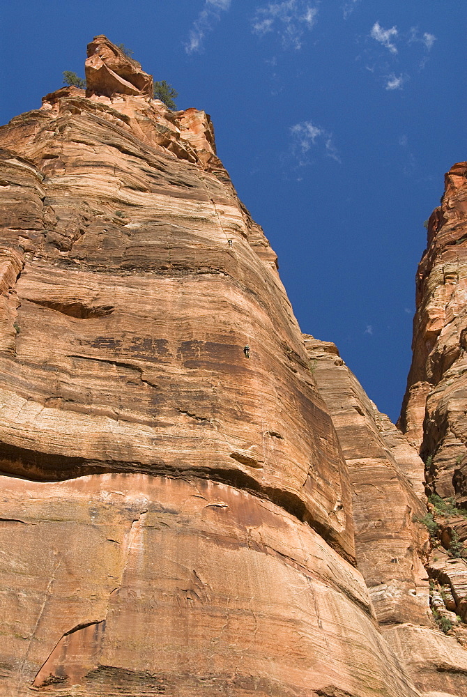 Big Bend area, two rock climbers, Zion National Park, Utah, United States of America, North America