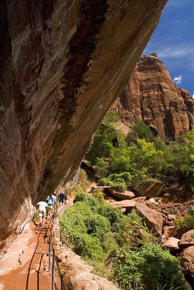 Lower Emerald Pool, Zion National Park, Utah, United States of America, North America