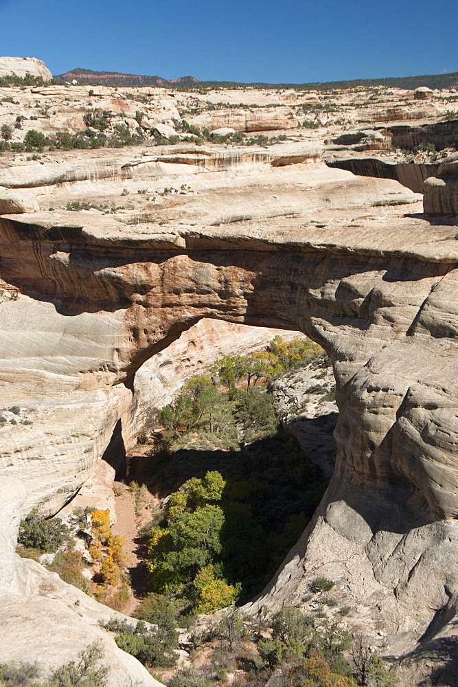 Natural Bridges National Monument, Sipapu Bridge, Utah, United States of America, North America