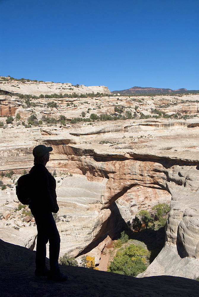 Natural Bridges National Monument, Sipapu Bridge, Utah, United States of America, North America