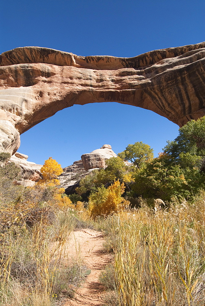 Natural Bridges National Monument, Sipapu Bridge, Utah, United States of America, North America