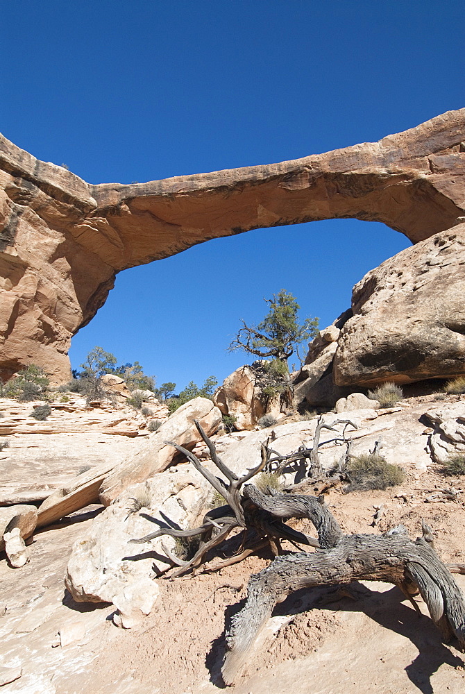 Natural Bridges National Monument, Owachomo Bridge, Utah, United States of America, North America