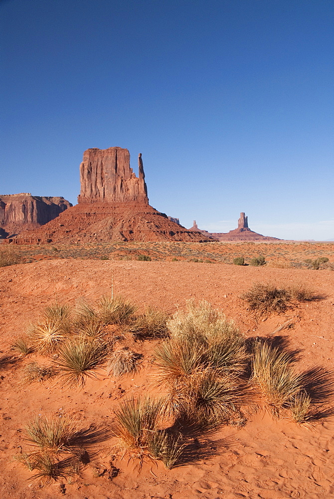 Monument Valley NavajoTribal Tribal Park, West Mitten Butte, Utah, United States, North America