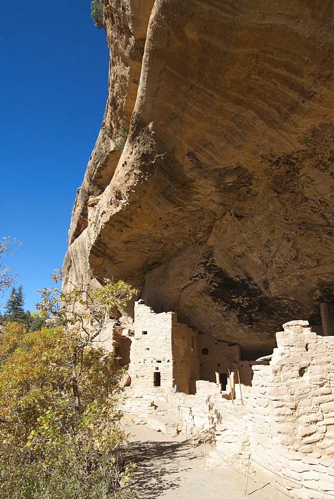 Mesa Verde National Park, Spruce Tree House, UNESCO World Heritage Site, Colorado, United States of America, North America 