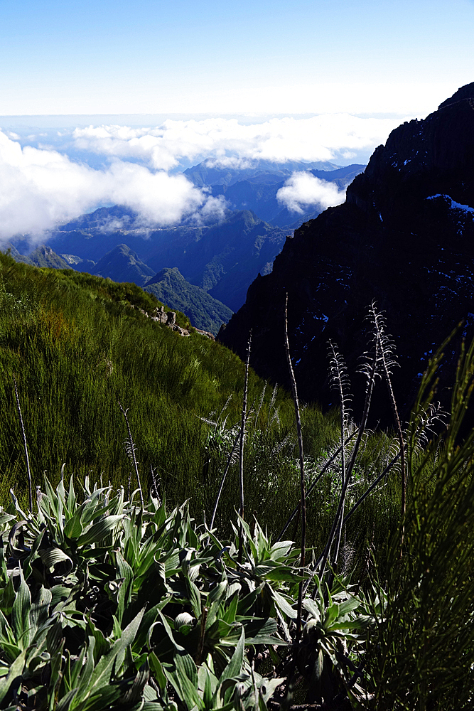 The spectacular scenery on the island of Madeira, Atlantic Ocean, Portugal