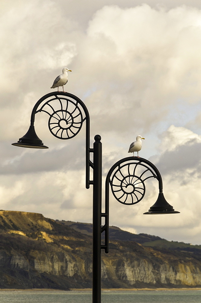 The famous Ammonite design streetlghts in Lyme Regis, Dorset, England, United Kingdom, Europe 