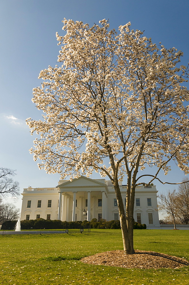 The White House, Washington, D.C., United States of America, North America