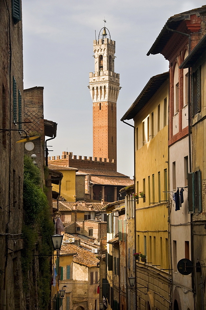 View of the Torre del Mangia and old streets in Siena, Tuscany, Italy, Europe