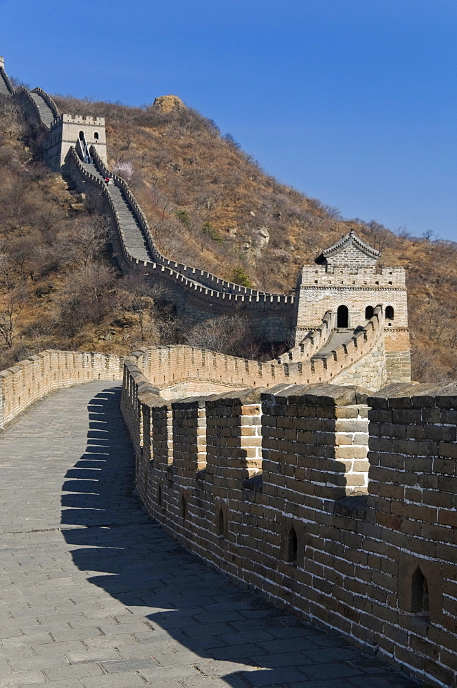 View along the restored section of the Great Wall, UNESCO World Heritage Site, Mutianyu, near Beijing, China, Asia