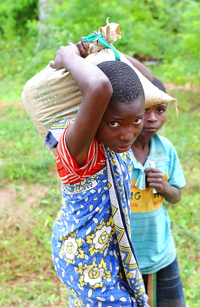 Young girl, Kenya, East Africa, Africa