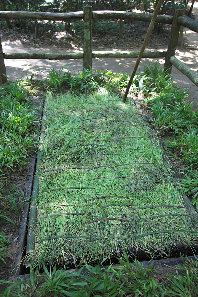 Booby trap, Cu Chi Tunnels, Ho Chi Minh City (Saigon), Vietnam, Indochina, Southeast Asia, Asia