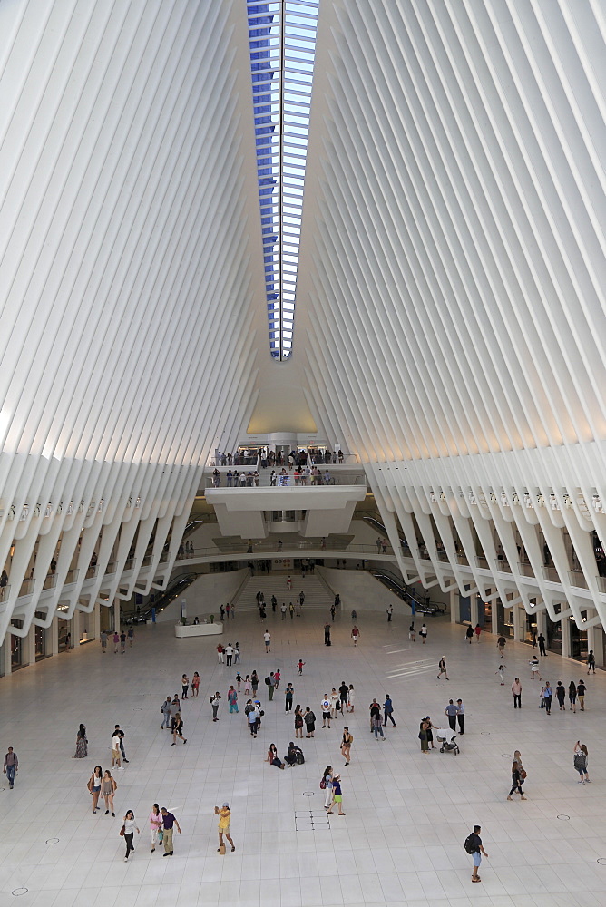 Oculus, architect Santiago Calatrava, World Trade Center Transportation Hub, Financial District, Manhattan, New York City, United States of America, North America