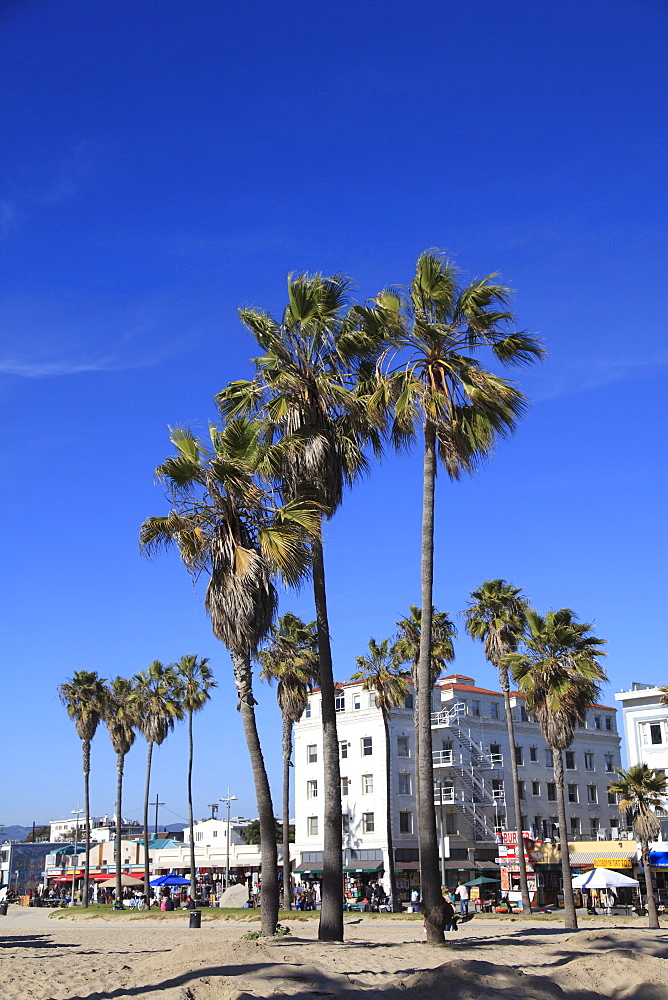 Venice Beach, Los Angeles, California, United States of America, North America