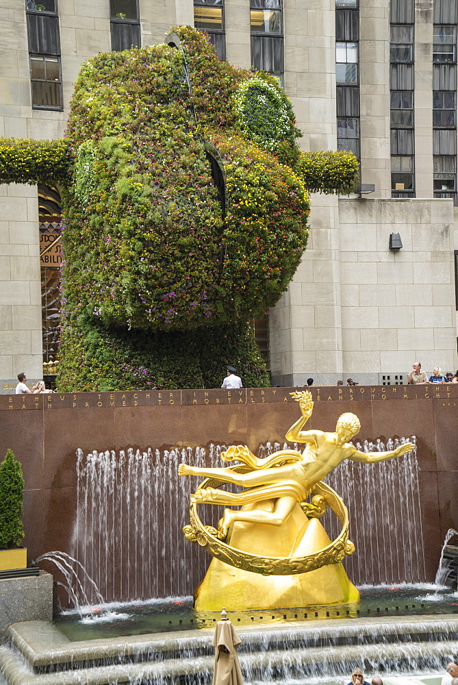 Artist Jeff Koon's Split-Rocker artwork outside the Rockefeller Center, Manhattan, New York City, New York, United States of America, North America