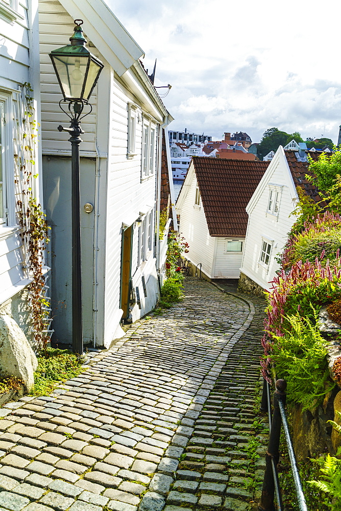 Old Stavanger (Gamle Stavanger) comprising about 250 buildings dating from early 18th century, mostly small white cottages, Stavanger, Rotaland, Norway, Scandinavia, Europe