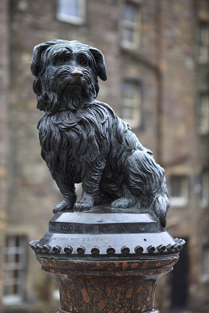 Greyfriars Bobby, Edinburgh, Lothian, Scotland, United Kingdom, Europe