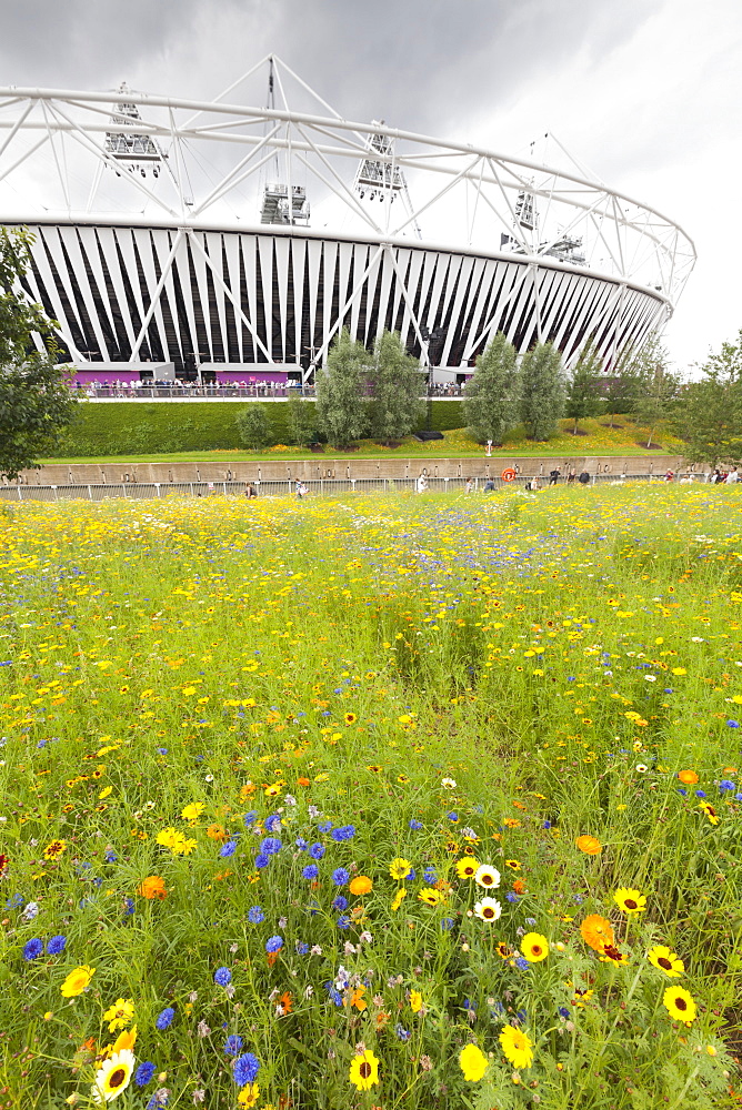 Olympic Stadium surrounded by wild flowers in the Olympic Park, Stratford City, London, England, United Kingdom, Europe