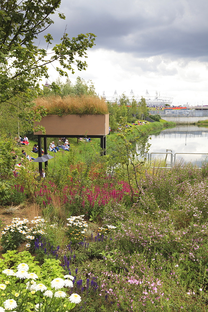 Wild flowers in the Olympic Park, Stratford City, London, England, United Kingdom, Europe