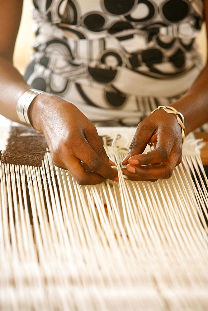 Weaver, Popenguine, Thies, Senegal, West Africa, Africa