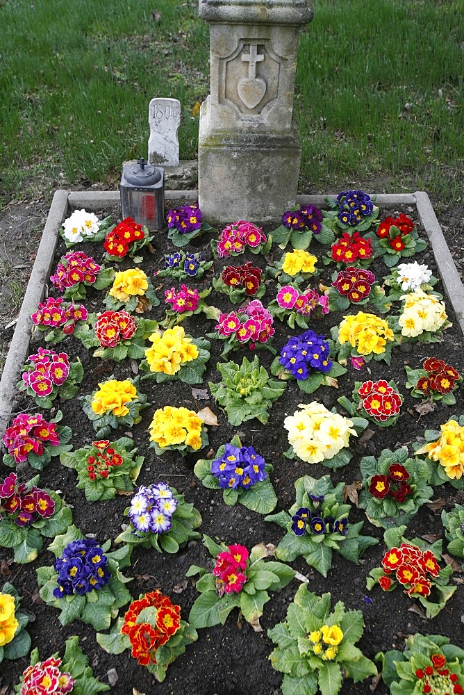 Flowers on a grave, Vienna, Austria, Europe