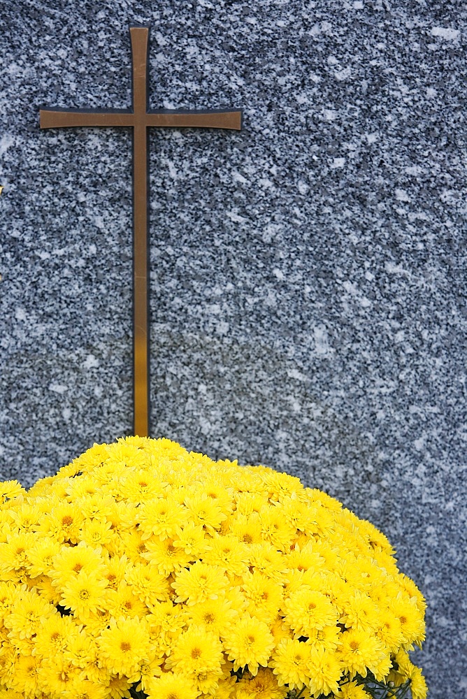 Grave, Chedde, Haute Savoie, France, Europe