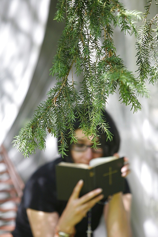 Woman reading the Bible, Chatillon-sur-Chalaron, Ain, France, Europe